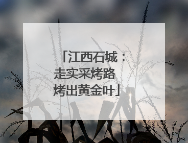 江西石城：走实采烤路 烤出黄金叶
