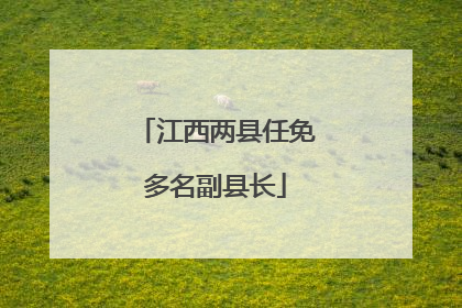 江西两县任免多名副县长