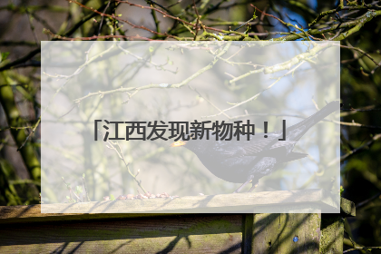 江西发现新物种！