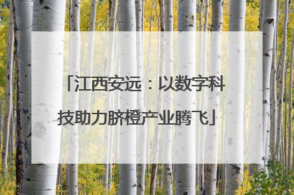 江西安远：以数字科技助力脐橙产业腾飞