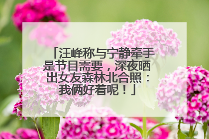 汪峰称与宁静牵手是节目需要，深夜晒出女友森林北合照：我俩好着呢！