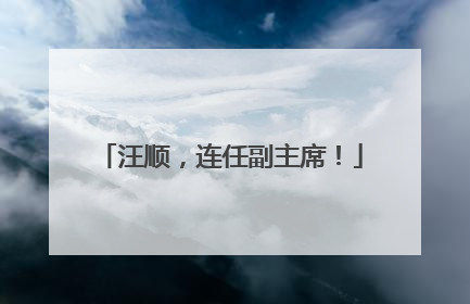 汪顺，连任副主席！