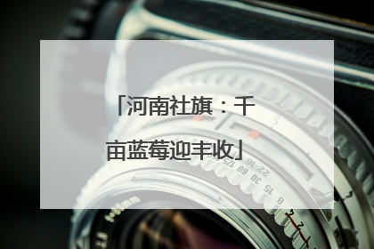 河南社旗：千亩蓝莓迎丰收