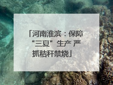 河南淮滨：保障“三夏”生产 严抓秸秆禁烧