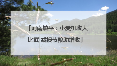 河南镇平：小麦机收大比武 减损节粮助增收