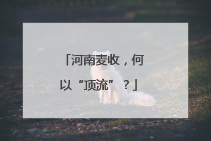 河南麦收，何以“顶流”？