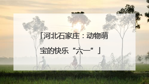 河北石家庄：动物萌宝的快乐“六一”