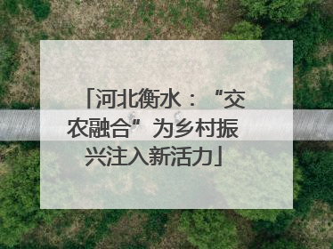 河北衡水：“交农融合”为乡村振兴注入新活力
