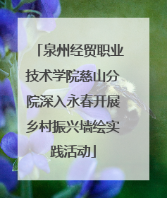 泉州经贸职业技术学院慈山分院深入永春开展乡村振兴墙绘实践活动