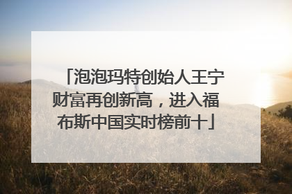 泡泡玛特创始人王宁财富再创新高，进入福布斯中国实时榜前十