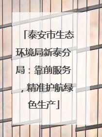 泰安市生态环境局新泰分局：靠前服务，精准护航绿色生产