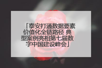 泰安打通数据要素价值化全链路径 典型案例亮相第七届数字中国建设峰会