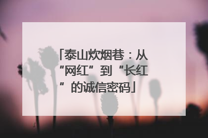 泰山炊烟巷：从“网红”到“长红”的诚信密码