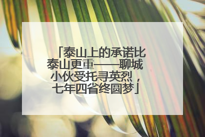 泰山上的承诺比泰山更重——聊城小伙受托寻英烈，七年四省终圆梦
