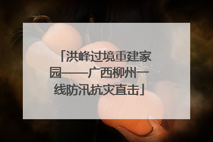 洪峰过境重建家园——广西柳州一线防汛抗灾直击