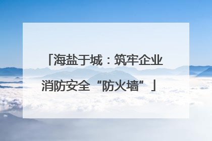 海盐于城：筑牢企业消防安全“防火墙”