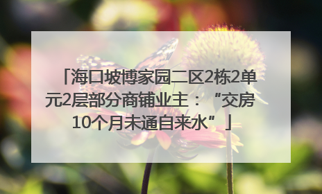 海口坡博家园二区2栋2单元2层部分商铺业主：“交房10个月未通自来水”