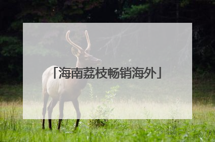 海南荔枝畅销海外
