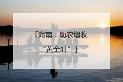 海南：助农增收 “黄金叶”