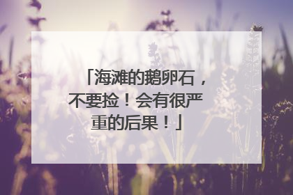 海滩的鹅卵石，不要捡！会有很严重的后果！