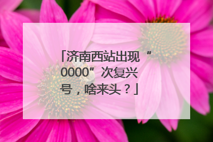 济南西站出现“0000”次复兴号，啥来头？