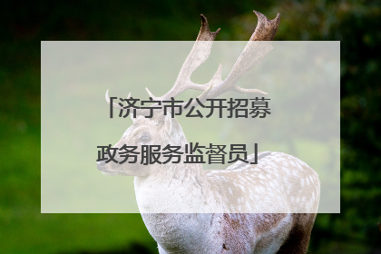 济宁市公开招募政务服务监督员