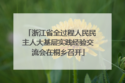 浙江省全过程人民民主人大基层实践经验交流会在桐乡召开