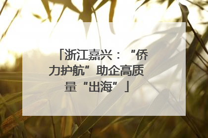 浙江嘉兴：“侨力护航”助企高质量“出海”