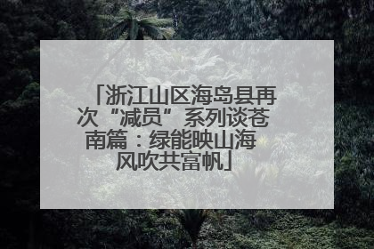 浙江山区海岛县再次“减员”系列谈苍南篇：绿能映山海 风吹共富帆