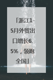 浙江1-5月外贸出口增长6.5%，领跑全国