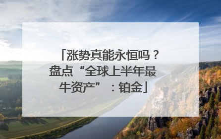 涨势真能永恒吗？盘点“全球上半年最牛资产”：铂金