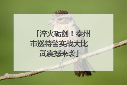 淬火砺剑！泰州市巡特警实战大比武震撼来袭