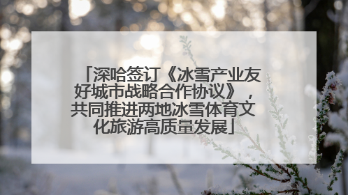 深哈签订《冰雪产业友好城市战略合作协议》，共同推进两地冰雪体育文化旅游高质量发展