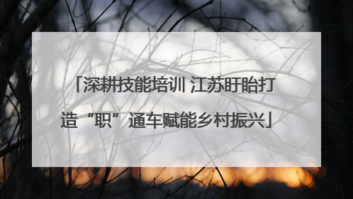 深耕技能培训 江苏盱眙打造“职”通车赋能乡村振兴