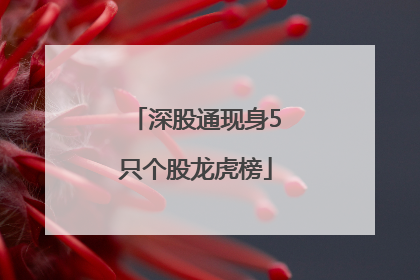 深股通现身5只个股龙虎榜