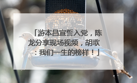 游本昌宣誓入党，陈龙分享现场视频，胡歌：我们一生的榜样！