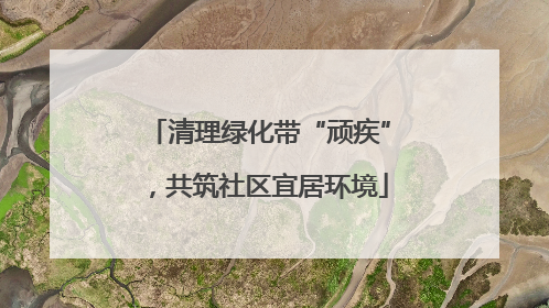 清理绿化带“顽疾”，共筑社区宜居环境