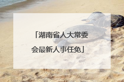 湖南省人大常委会最新人事任免