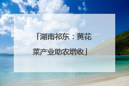 湖南祁东：黄花菜产业助农增收