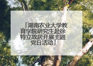 湖南农业大学教育学院研究生赴徐特立故居开展主题党日活动