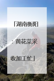 湖南衡阳：黄花菜采收加工忙
