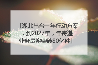 湖北出台三年行动方案，到2027年，年寄递业务量将突破80亿件
