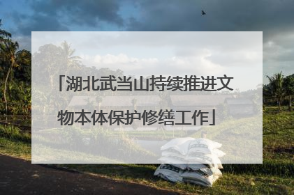 湖北武当山持续推进文物本体保护修缮工作