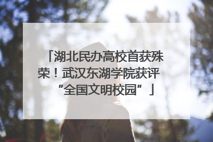 湖北民办高校首获殊荣！武汉东湖学院获评“全国文明校园”