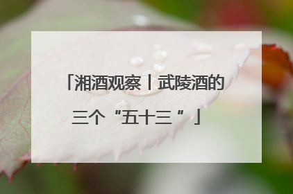 湘酒观察丨武陵酒的三个“五十三 ”