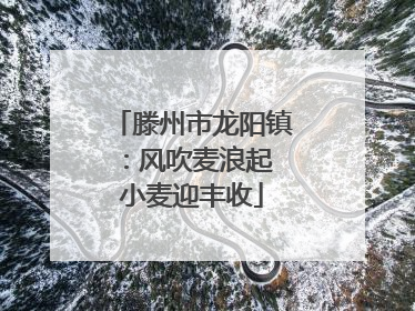 滕州市龙阳镇：风吹麦浪起 小麦迎丰收