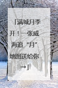 满城月季开！一张威海追“月”地图送给你→