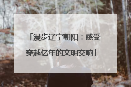 漫步辽宁朝阳：感受穿越亿年的文明交响