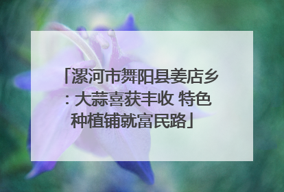 漯河市舞阳县姜店乡：大蒜喜获丰收 特色种植铺就富民路