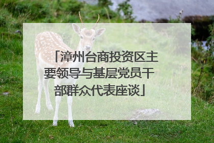 漳州台商投资区主要领导与基层党员干部群众代表座谈